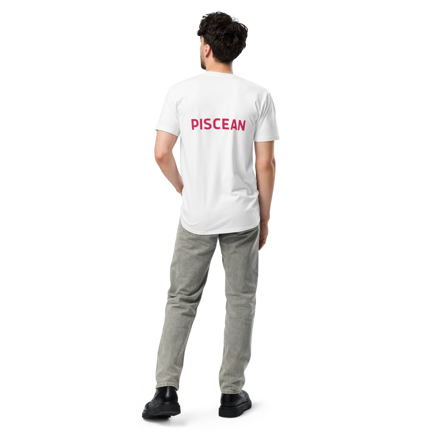 Be the Star You are! Piscean Unisex premium t-shirt